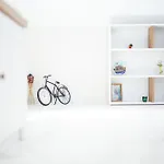 Center Hideout - *